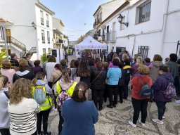 25N Día internacional para la eliminación de la violencia contra la mujer