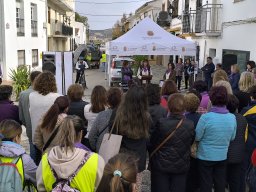 25N Día internacional para la eliminación de la violencia contra la mujer