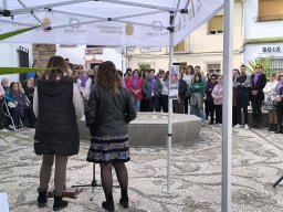 25N Día internacional para la eliminación de la violencia contra la mujer
